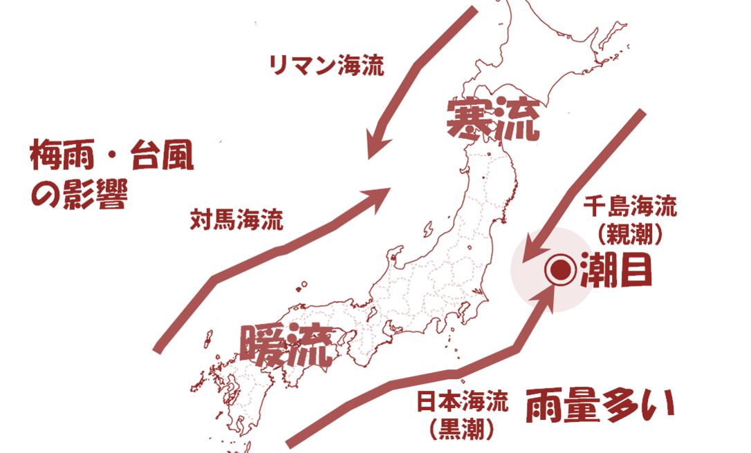 高校地理日本の海流解説図