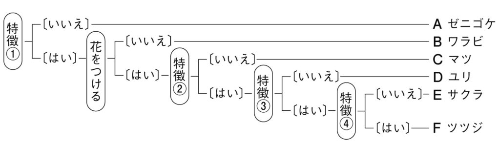 植物の分類問題図2