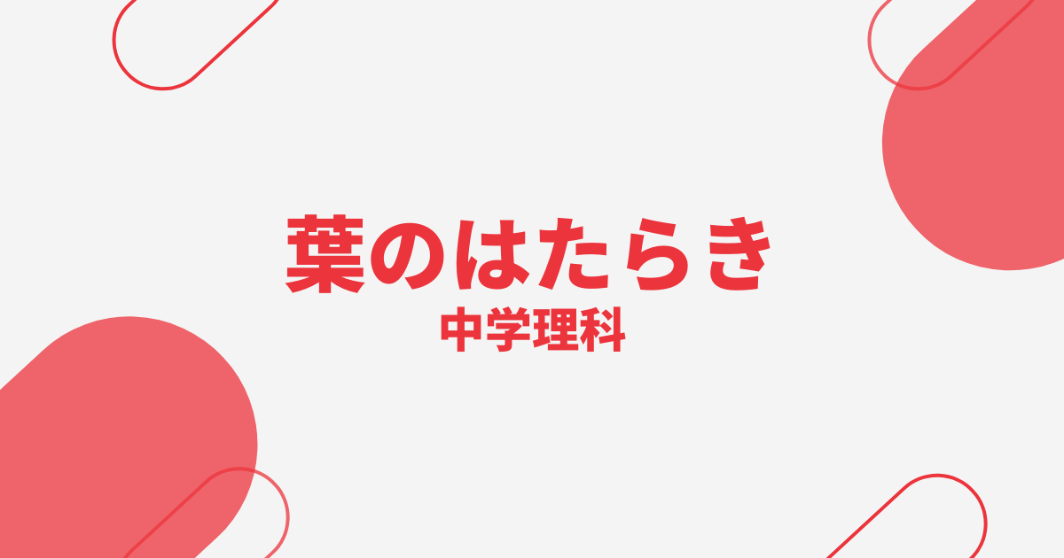 【中学理科】葉のはたらきの定期テスト
