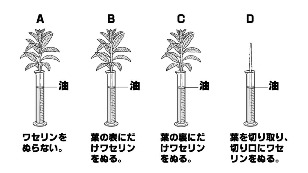 蒸散量の問題図