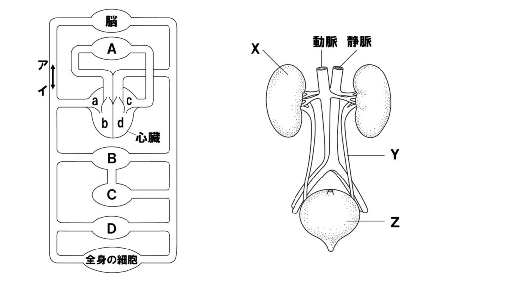 血液の問題図