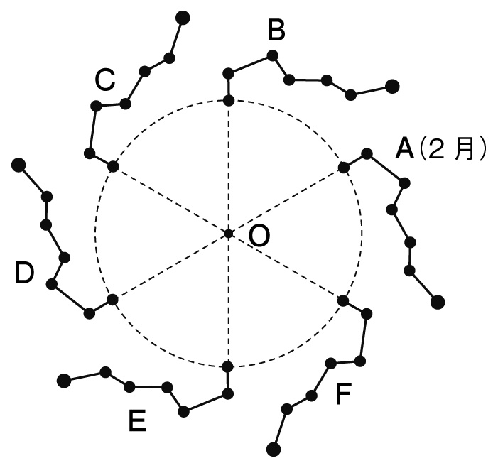 日周・年周運動の問題図