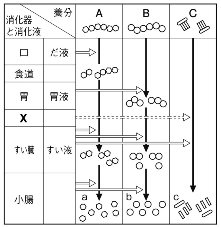消化液の問題図