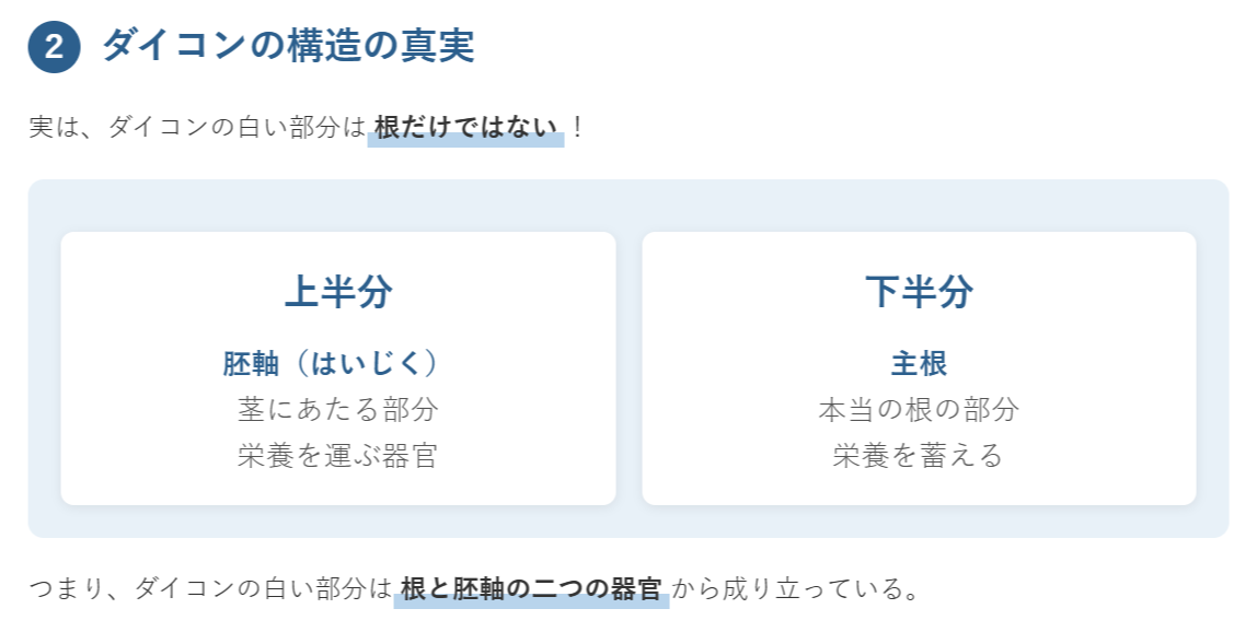 ダイコンは大きな根？のポイント②