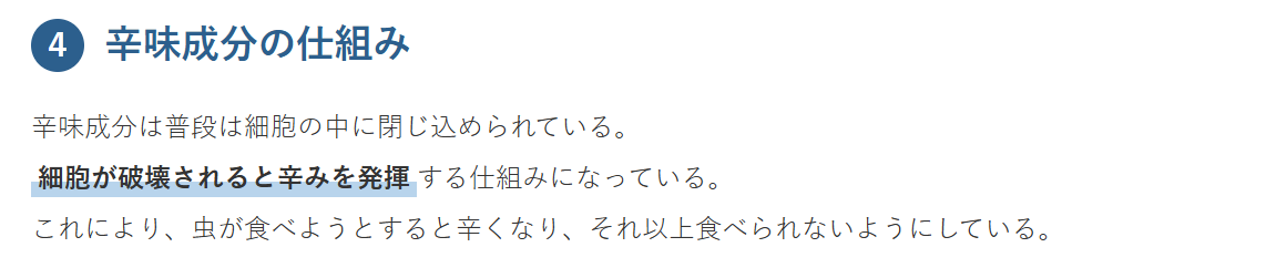 ダイコンは大きな根？のポイント④