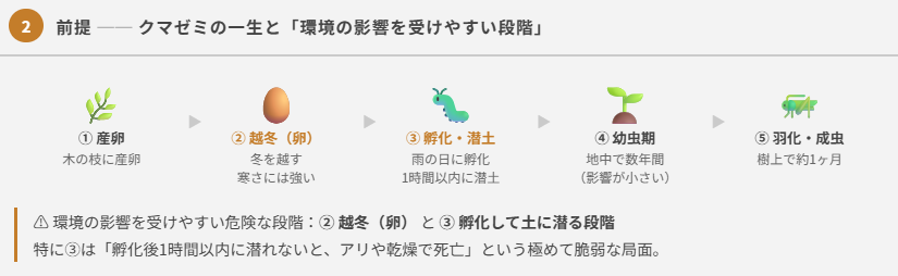 クマゼミ増加の原因を探るのポイント②
