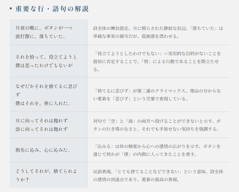 月夜の浜辺のポイント⑤